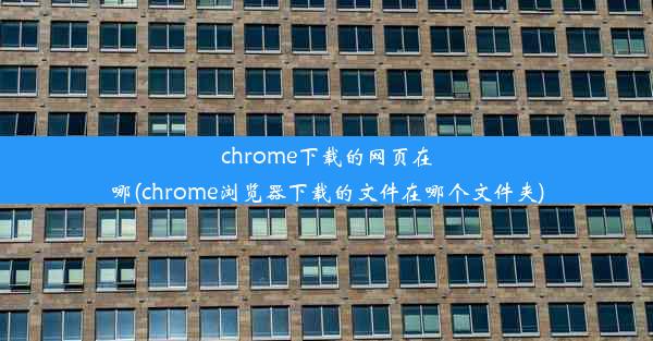 chrome下载的网页在哪(chrome浏览器下载的文件在哪个文件夹)