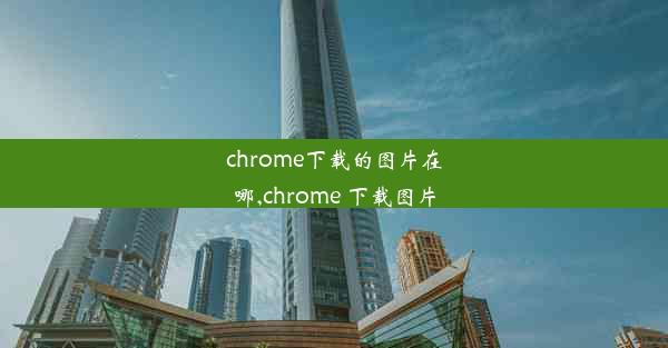 chrome下载的图片在哪,chrome 下载图片