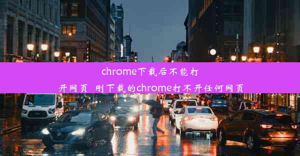 chrome下载后不能打开网页_刚下载的chrome打不开任何网页