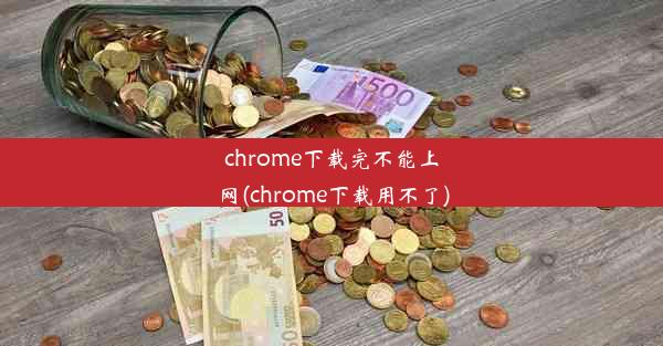 chrome下载完不能上网(chrome下载用不了)