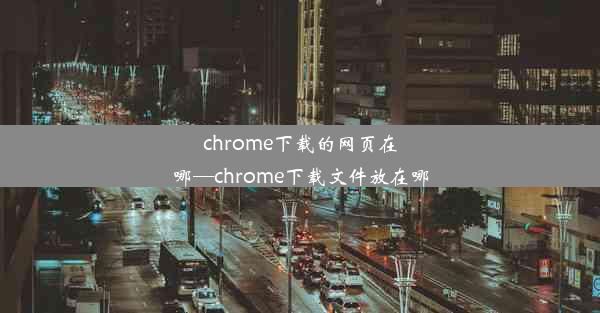 chrome下载的网页在哪—chrome下载文件放在哪