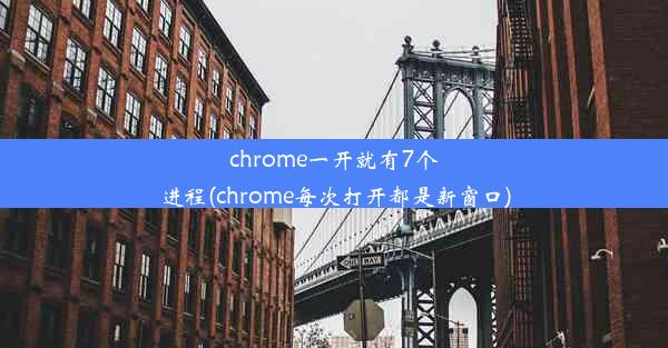 chrome一开就有7个进程(chrome每次打开都是新窗口)