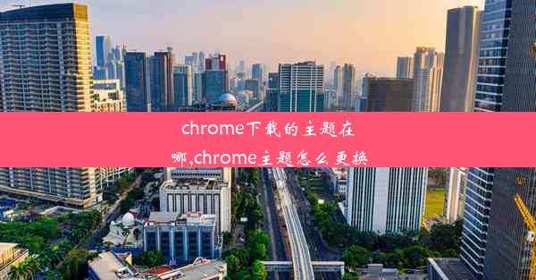 chrome下载的主题在哪,chrome主题怎么更换