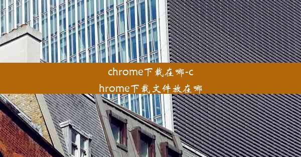 chrome下载在哪-chrome下载文件放在哪