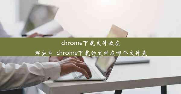 chrome下载文件放在哪安卓_chrome下载的文件在哪个文件夹