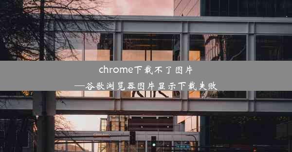 chrome下载不了图片—谷歌浏览器图片显示下载失败