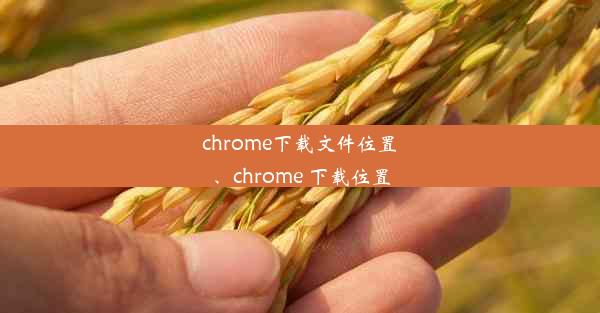 chrome下载文件位置、chrome 下载位置