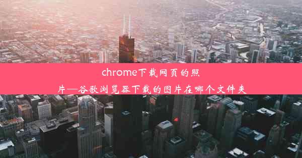 chrome下载网页的照片—谷歌浏览器下载的图片在哪个文件夹