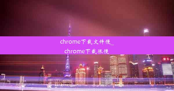 chrome下载文件慢_chrome下载很慢