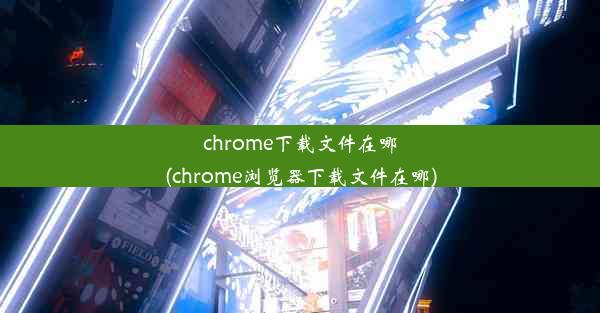 chrome下载文件在哪(chrome浏览器下载文件在哪)