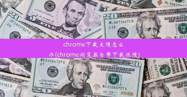 chrome下载太慢怎么办(chrome浏览器自带下载很慢)