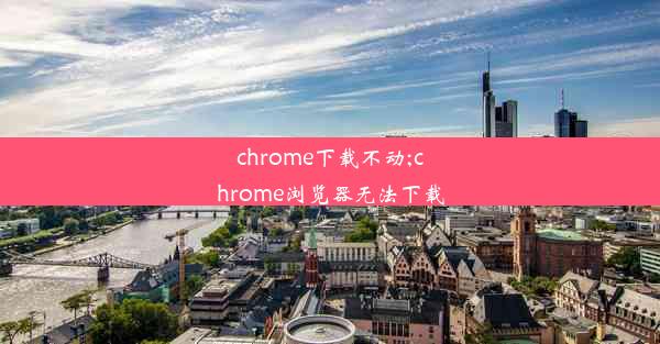 chrome下载不动;chrome浏览器无法下载