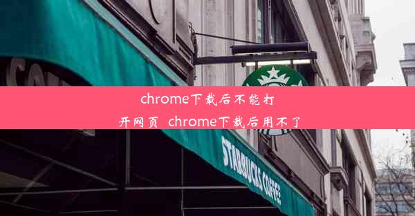 chrome下载后不能打开网页_chrome下载后用不了