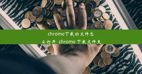 chrome下载的文件怎么打开_chrome 下载文件夹