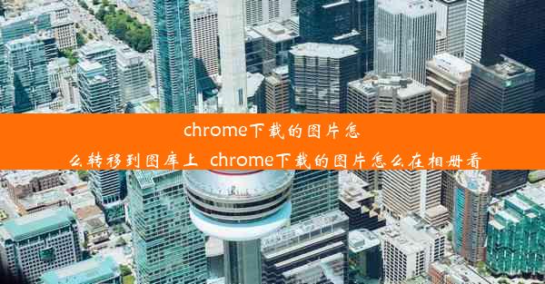 chrome下载的图片怎么转移到图库上_chrome下载的图片怎么在相册看