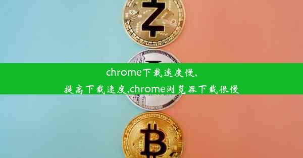 chrome下载速度慢,提高下载速度,chrome浏览器下载很慢