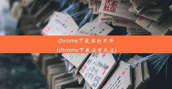 chrome下载后打不开(chrome下载没有反应)