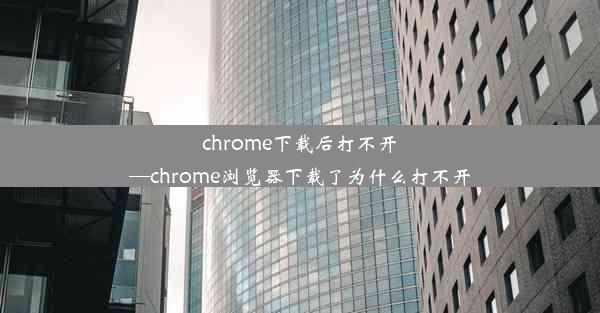 chrome下载后打不开—chrome浏览器下载了为什么打不开