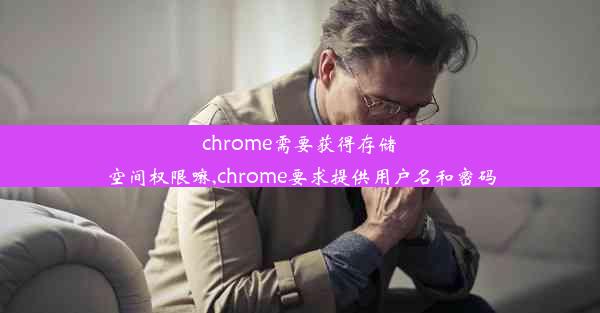 chrome需要获得存储空间权限嘛,chrome要求提供用户名和密码