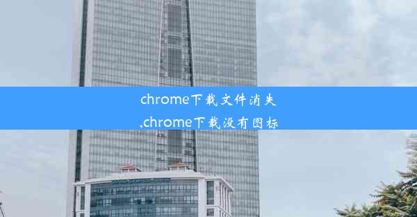 chrome下载文件消失,chrome下载没有图标