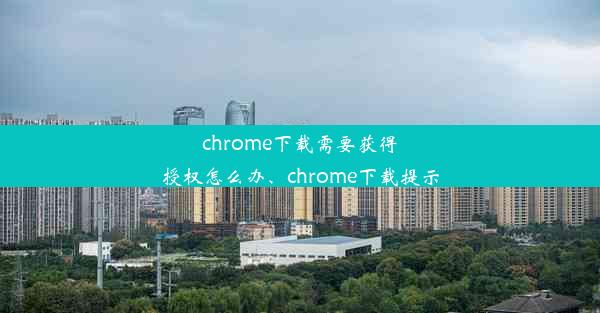 chrome下载需要获得授权怎么办、chrome下载提示