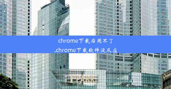 chrome下载后用不了,chrome下载软件没反应