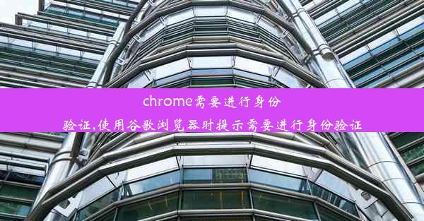 chrome需要进行身份验证,使用谷歌浏览器时提示需要进行身份验证