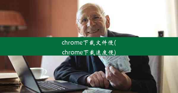 chrome下载文件慢(chrome下载速度慢)