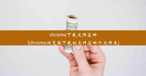 chrome下载文件在哪(chrome浏览器下载的文件在哪个文件夹)