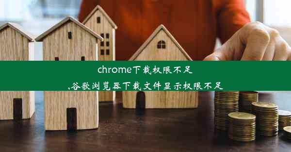 chrome下载权限不足,谷歌浏览器下载文件显示权限不足