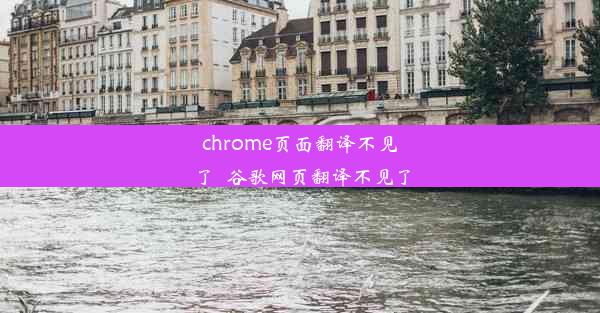 chrome页面翻译不见了_谷歌网页翻译不见了