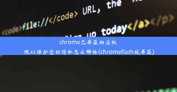 chrome已屏蔽相应权限以保护您的隐私怎么解除(chromeflash被屏蔽)