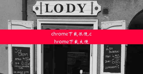 chrome下载很慢,chrome下载太慢