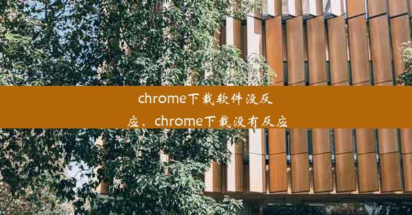 chrome下载软件没反应、chrome下载没有反应