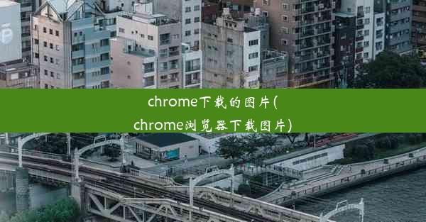 chrome下载的图片(chrome浏览器下载图片)