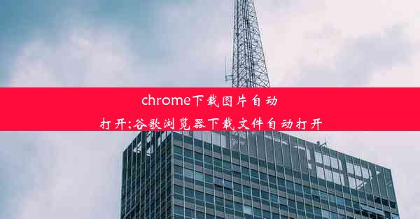 chrome下载图片自动打开;谷歌浏览器下载文件自动打开