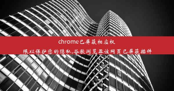 chrome已屏蔽相应权限以保护您的隐私,谷歌浏览器该网页已屏蔽插件