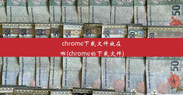 chrome下载文件放在哪(chrome的下载文件)