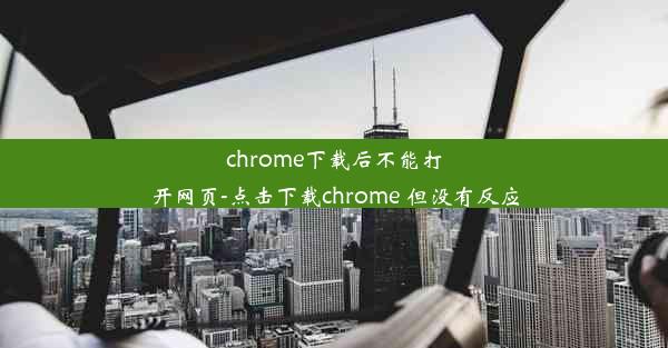 chrome下载后不能打开网页-点击下载chrome 但没有反应