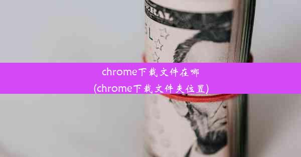 chrome下载文件在哪(chrome下载文件夹位置)