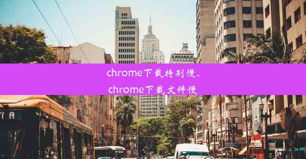 chrome下载特别慢、chrome下载文件慢