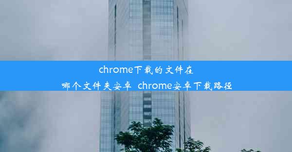 chrome下载的文件在哪个文件夹安卓_chrome安卓下载路径