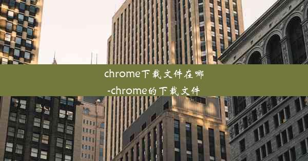 chrome下载文件在哪-chrome的下载文件