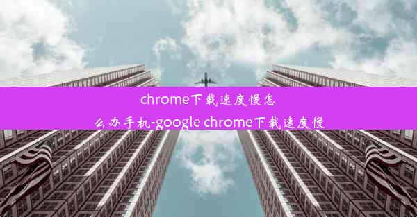 chrome下载速度慢怎么办手机-google chrome下载速度慢