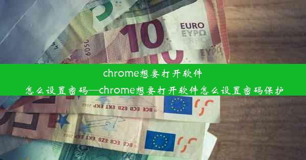 chrome想要打开软件怎么设置密码—chrome想要打开软件怎么设置密码保护