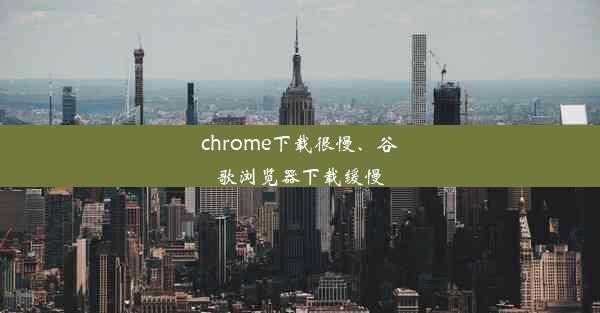 chrome下载很慢、谷歌浏览器下载缓慢