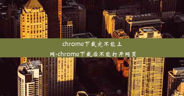 chrome下载完不能上网-chrome下载后不能打开网页