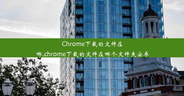 Chrome下载的文件在哪,chrome下载的文件在哪个文件夹安卓