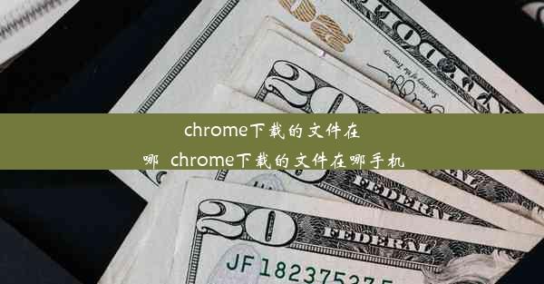 chrome下载的文件在哪_chrome下载的文件在哪手机