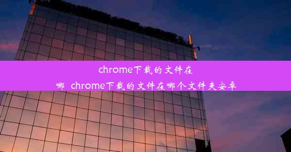 chrome下载的文件在哪_chrome下载的文件在哪个文件夹安卓